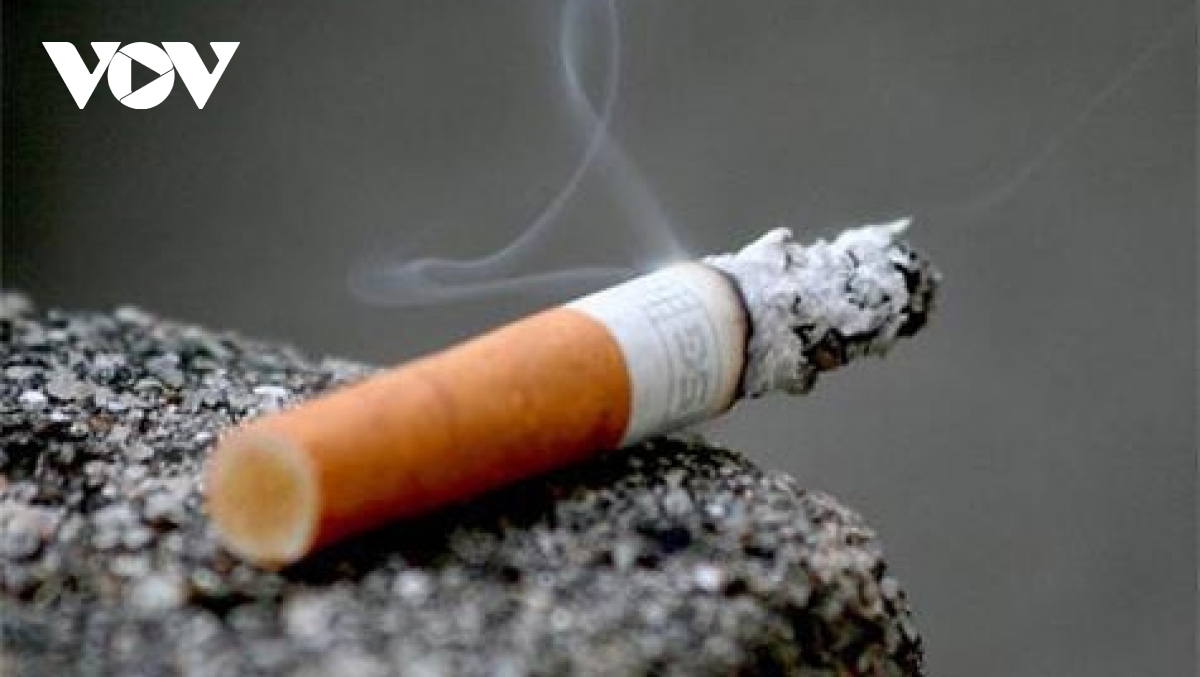 World No Tobacco Day 2022 observed in Vietnam